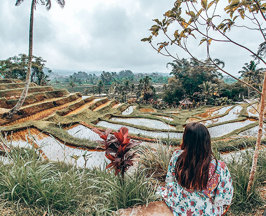 Jatiluwih arrozales Bali