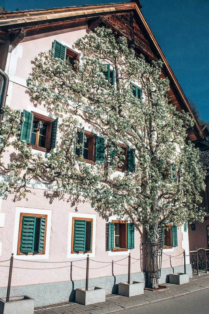 Fachada casa Hallstatt